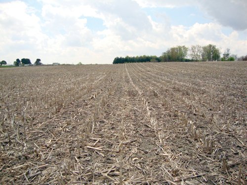 Property photo 4 - 114+/- Acres Offered in 4 Tracts